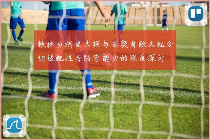铁林分析里夫斯与东契奇欧文组合的适配性与防守能力的深度探讨